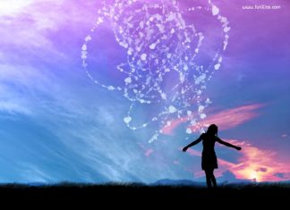 Qu’est-ce que l’Autorité ?